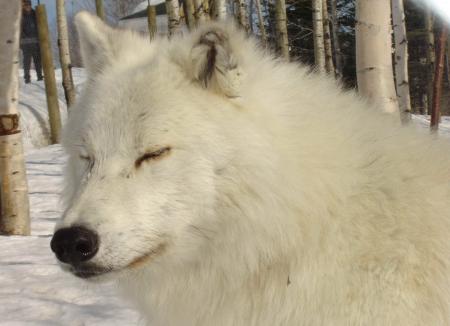 image loup en gros plan